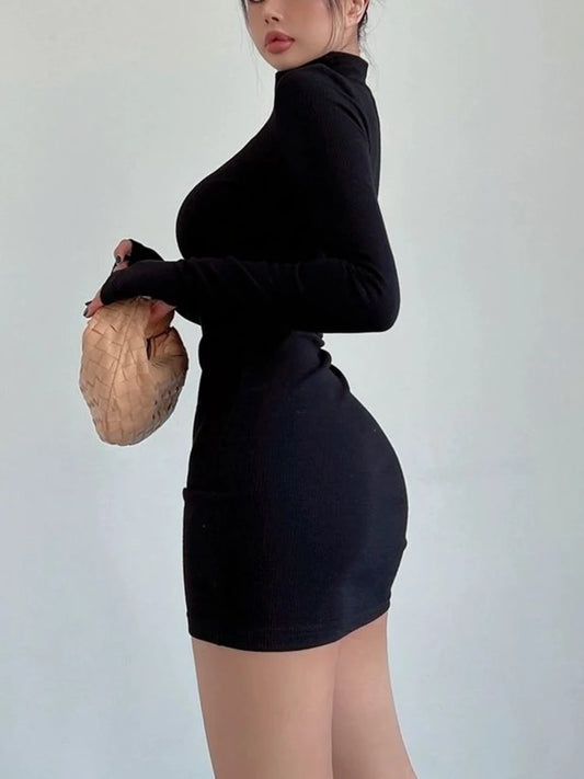 Turtleneck Long Sleeves Dresses Black